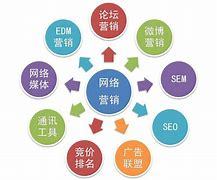企业网络推广策划方案案例 从零到一打响品牌的实战营销手册